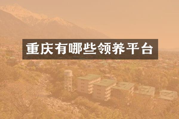 重庆有哪些领养平台