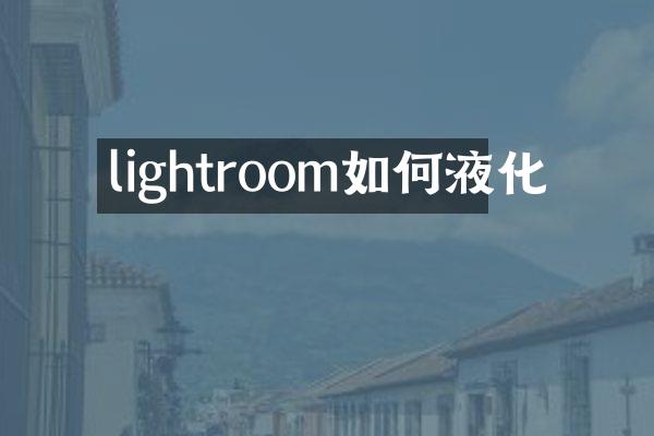 lightroom如何液化
