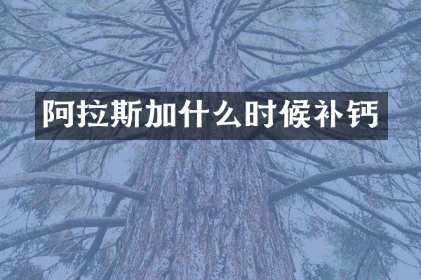 阿拉斯加什么时候补钙