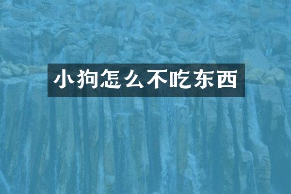 小狗怎么不吃东西