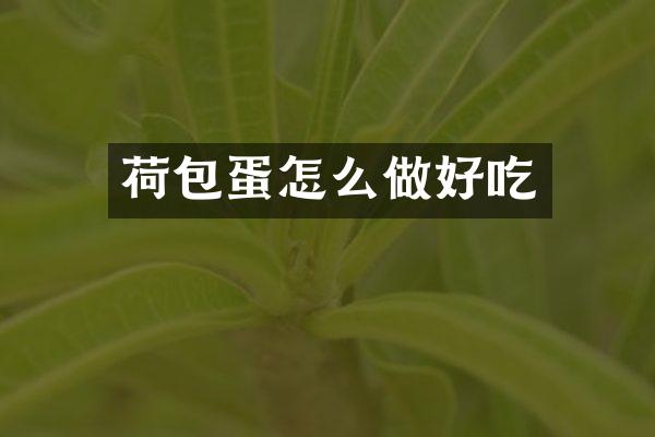 荷包蛋怎么做好吃