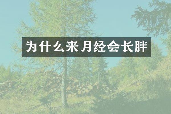 为什么来月经会长胖