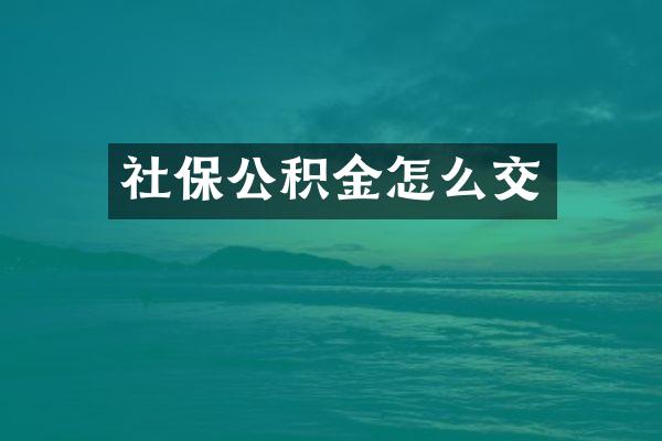 社保公积金怎么交