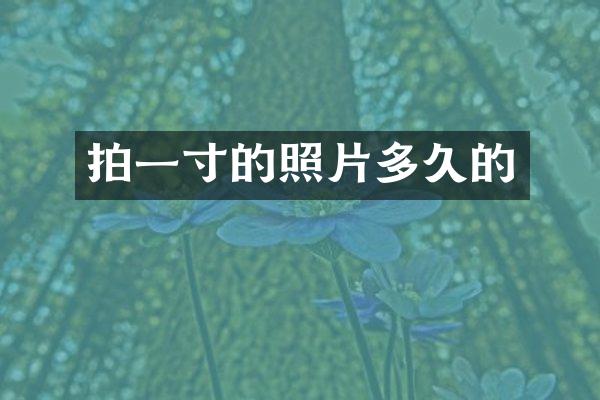 拍一寸的照片多久的