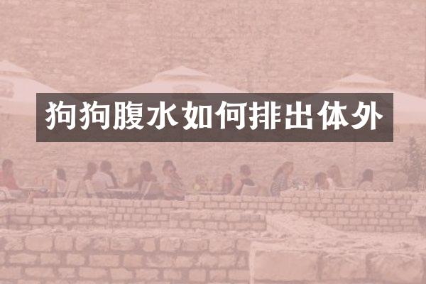 狗狗腹水如何排出体外