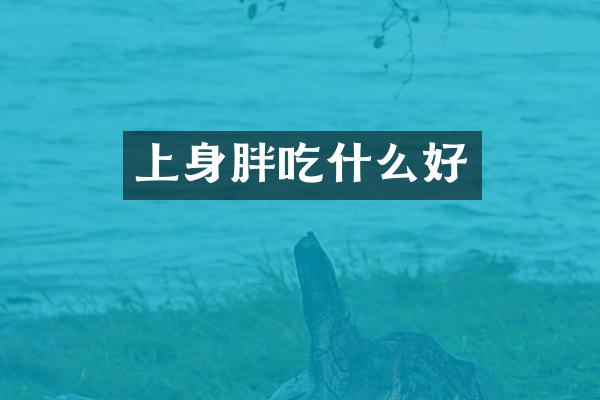 上身胖吃什么好