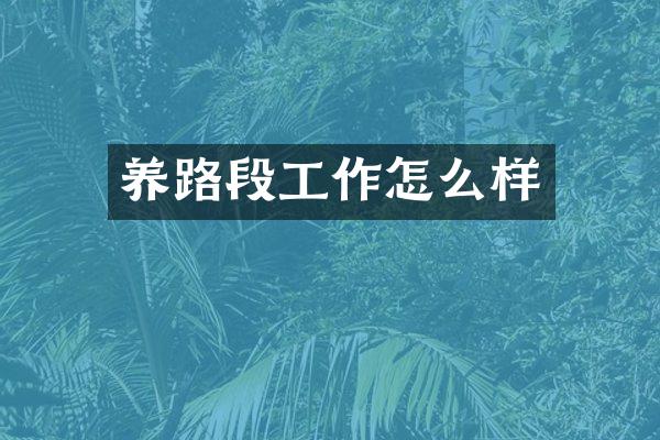 养路段工作怎么样