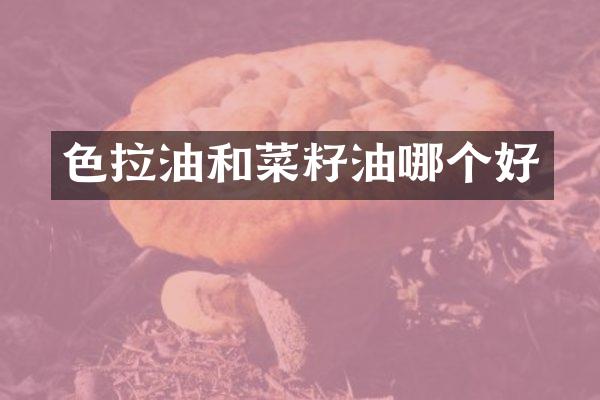 色拉油和菜籽油哪个好