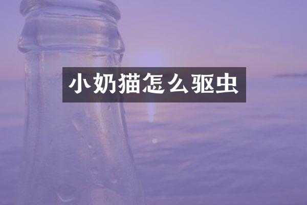 小奶猫怎么驱虫