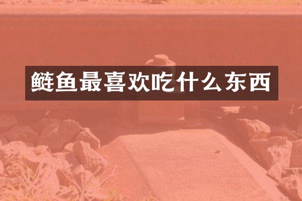 鲢鱼最喜欢吃什么东西