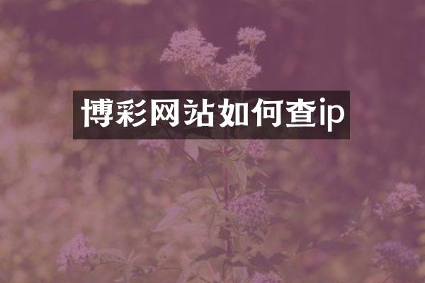 博彩网站如何查ip