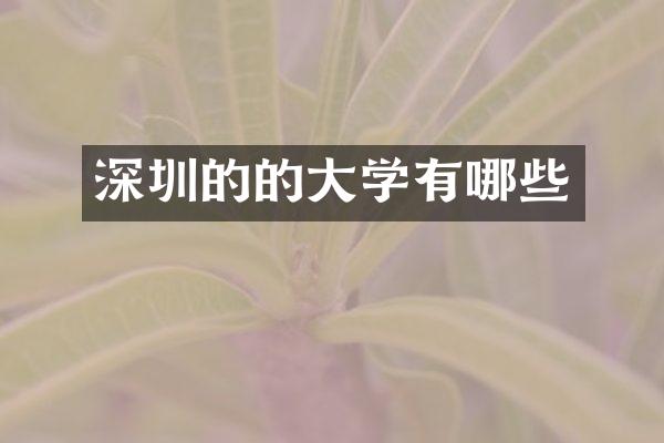 深圳的的大学有哪些