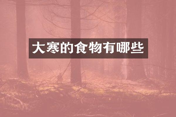 大寒的食物有哪些