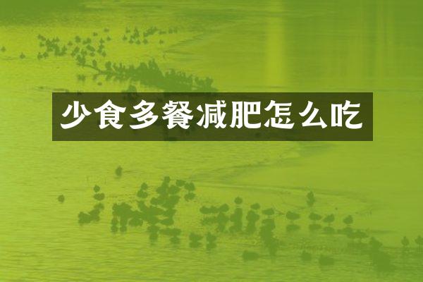 少食多餐减肥怎么吃