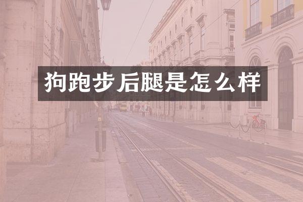 狗跑步后腿是怎么样