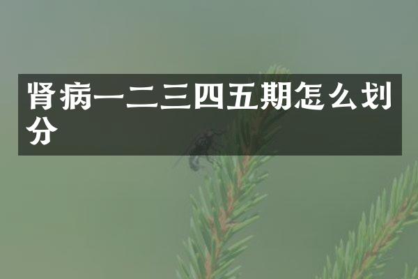 肾病一二三四五期怎么划分