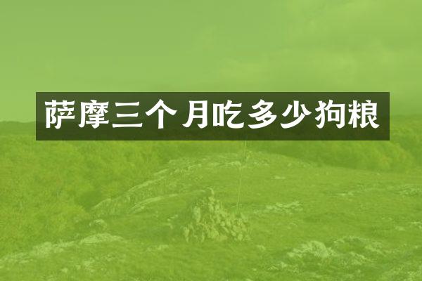萨摩三个月吃多少狗粮