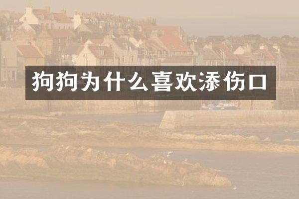 狗狗为什么喜欢添伤口