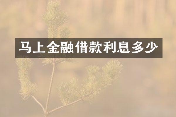 马上金融借款利息多少