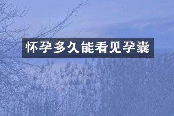 怀孕多久能看见孕囊
