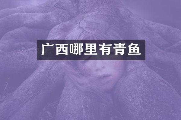 广西哪里有青鱼