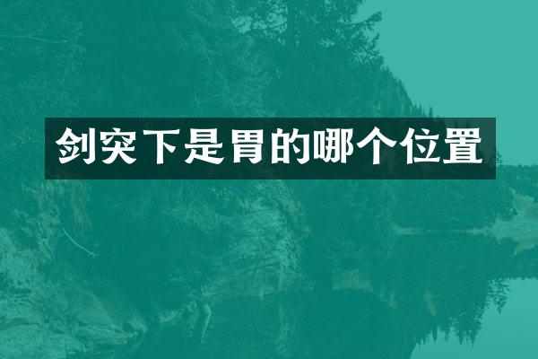 剑突下是胃的哪个位置