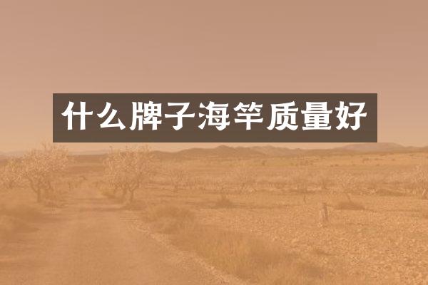 什么牌子海竿质量好