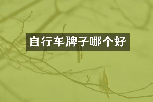 自行车牌子哪个好