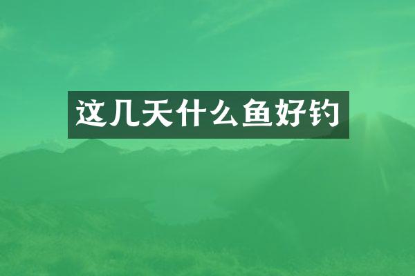 这几天什么鱼好钓