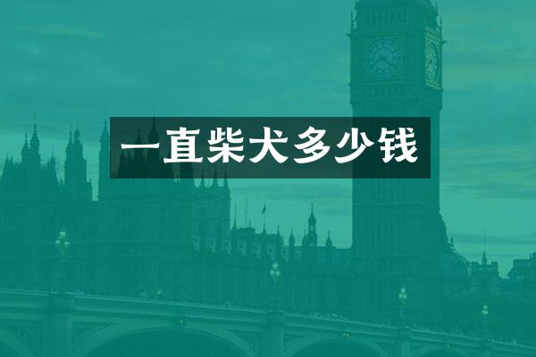 一直柴犬多少钱