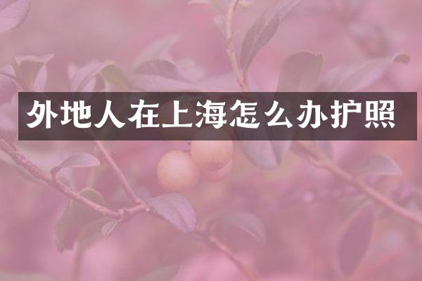 外地人在上海怎么办护照