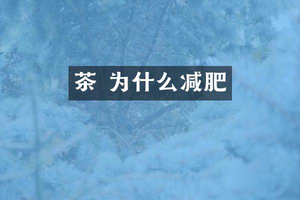 茶 为什么减肥