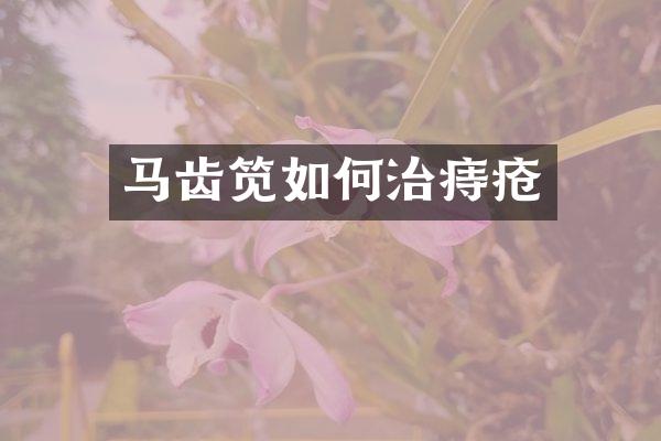马齿笕如何治痔疮