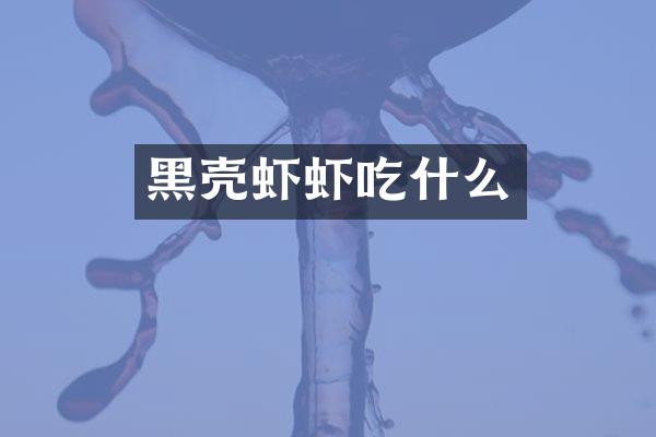 黑壳虾虾吃什么