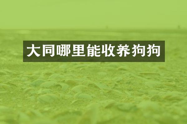 大同哪里能收养狗狗