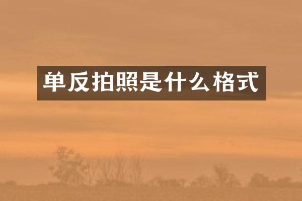 单反拍照是什么格式
