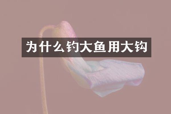 为什么钓大鱼用大钩