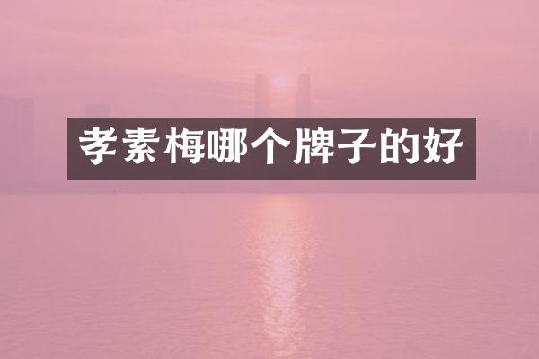 孝素梅哪个牌子的好