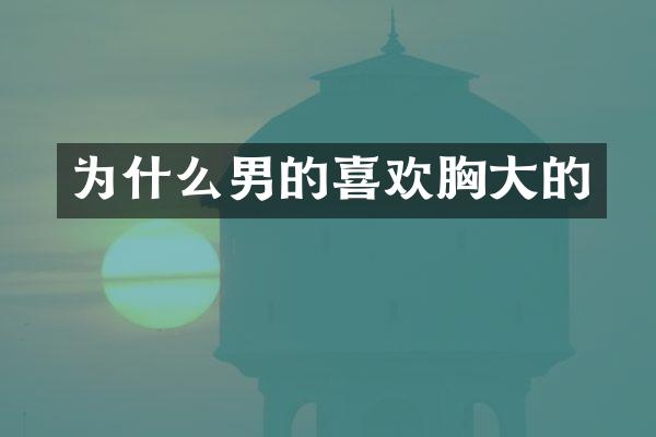 为什么男的喜欢胸大的
