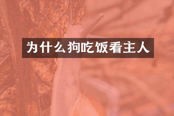 为什么狗吃饭看主人