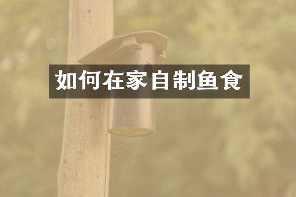如何在家自制鱼食