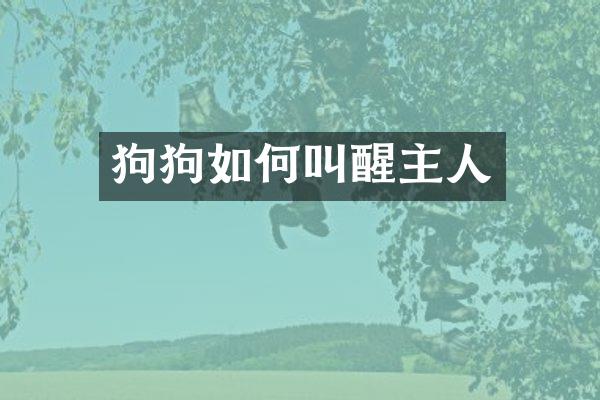 狗狗如何叫醒主人