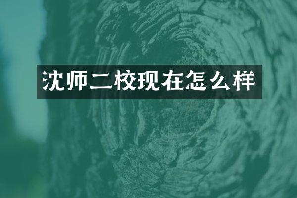 沈师二校现在怎么样