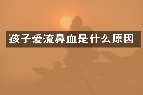 孩子爱流鼻血是什么原因