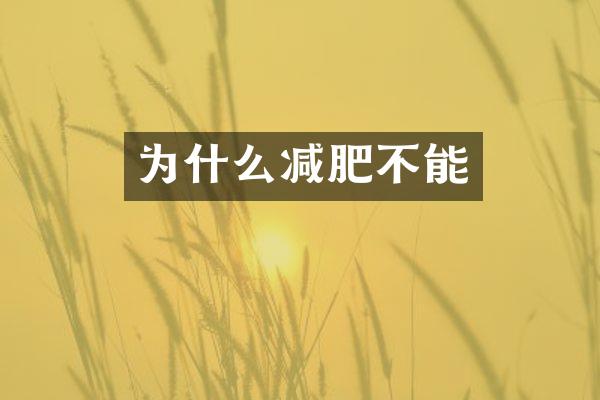 为什么减肥不能