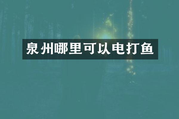 泉州哪里可以电打鱼