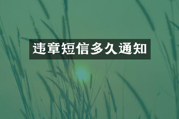 违章短信多久通知