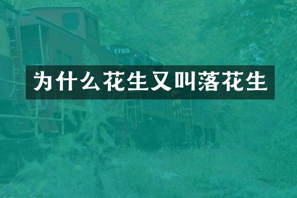 为什么花生又叫落花生