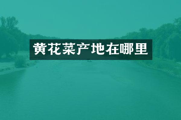 黄花菜产地在哪里