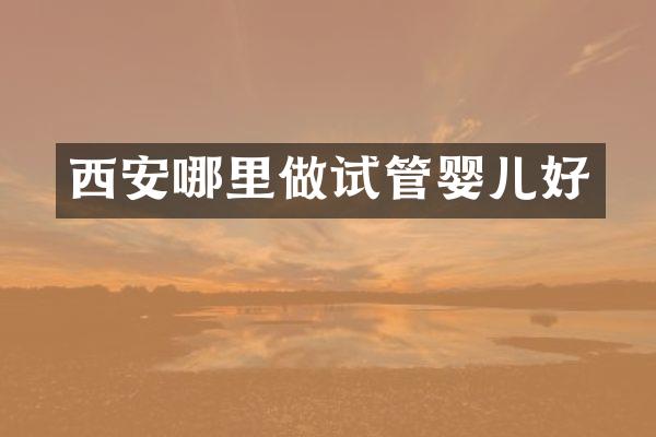西安哪里做试管婴儿好